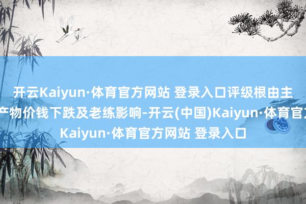 開云Kaiyun·體育官方網站 登錄入口評級根由主要包括：1）受產物價錢下跌及老練影響-開云(中國)Kaiyun·體育官方網站 登錄入口