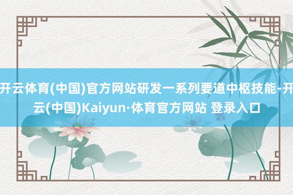 開云體育(中國)官方網站研發一系列要道中樞技能-開云(中國)Kaiyun·體育官方網站 登錄入口